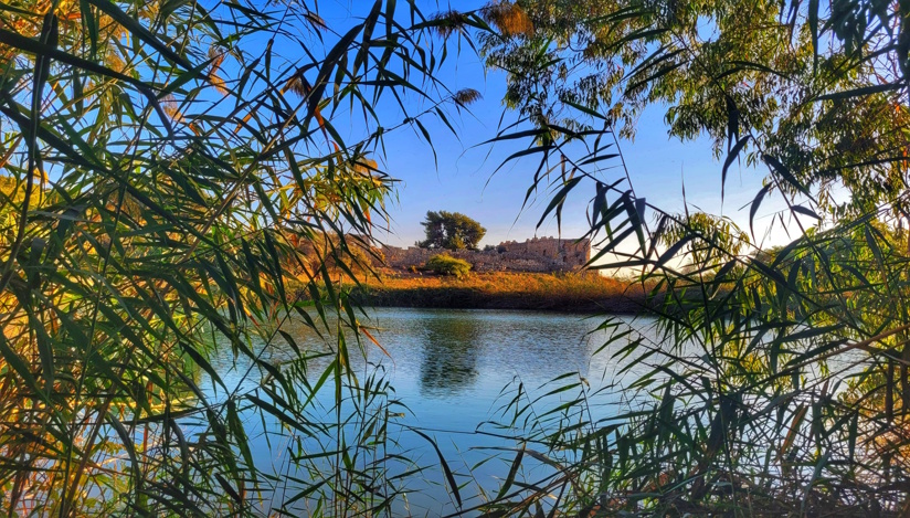 חוגגים שבועות ברשות הטבע והגנים